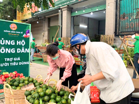 Cam xanh nghĩa tình – Mô hình nông nghiệp sẻ chia