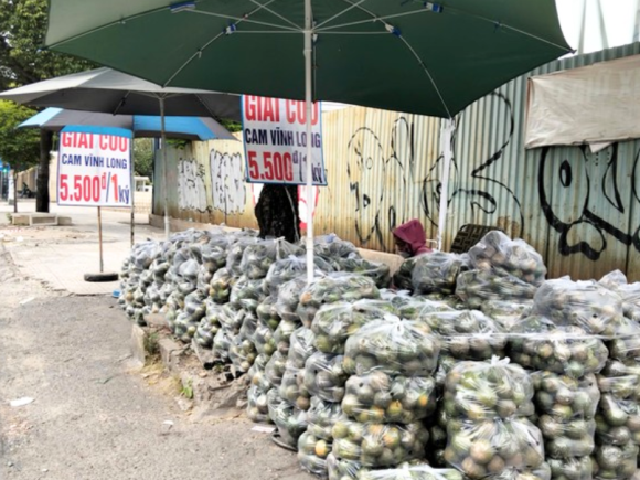 Vì sao khắp nơi ở TP HCM vẫn xuất hiện hình ảnh ‘giải cứu cam sành’?