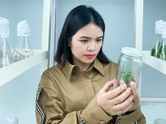 Ứng dụng KHKT phát triển nguồn gen các loại cam đặc sản Hà Tĩnh